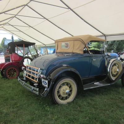 Verna202404