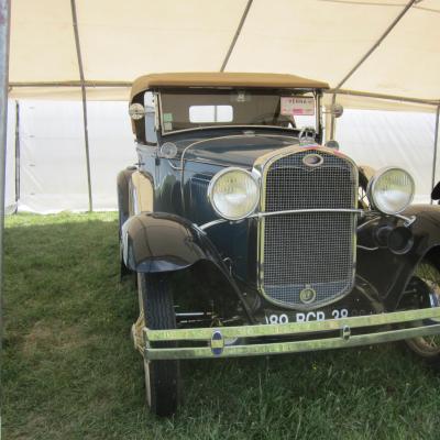 Verna202405