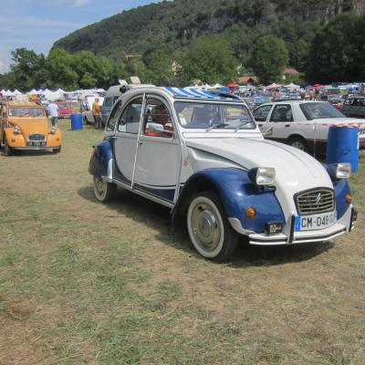 Verna202410