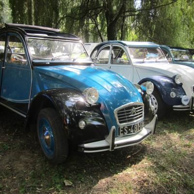 Verna202412